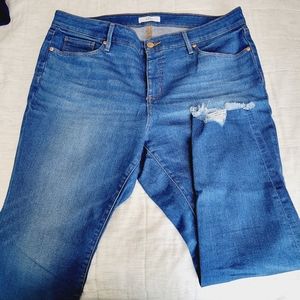 Loft Plus Jeans